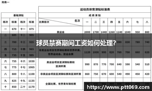 中欧体育zoty官方网站